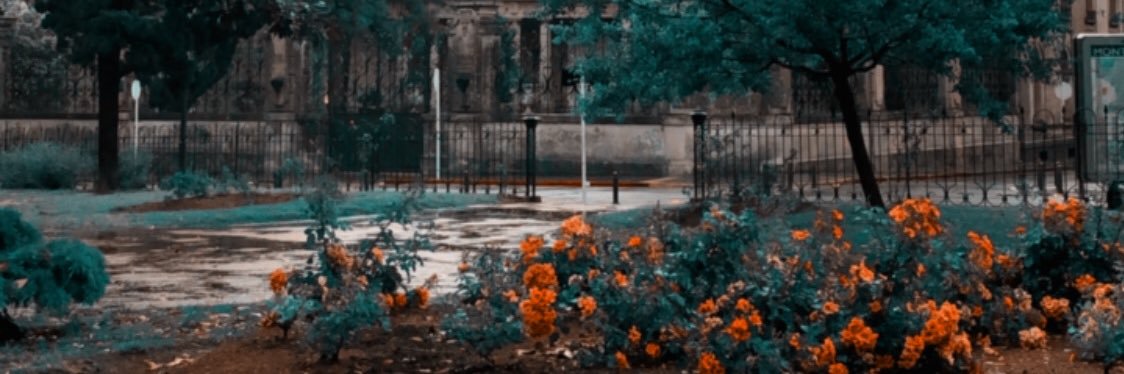 neuronitas_'s profile banner image