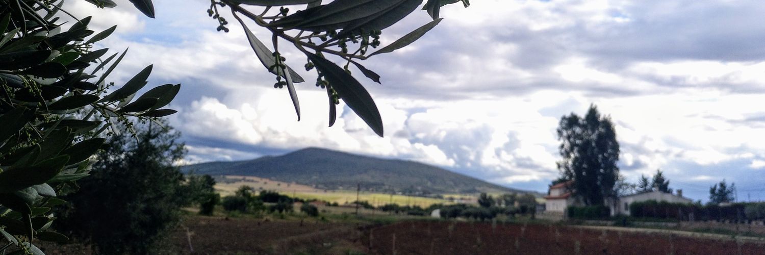 Amparo S. Gilarte banner