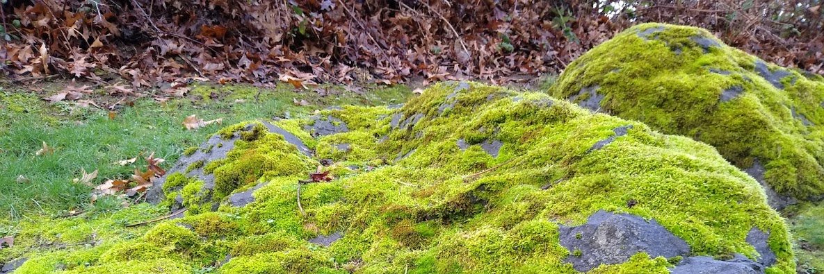 John Sechrest banner