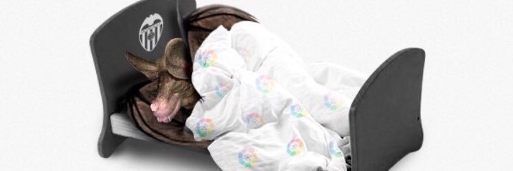 Nestoret97's profile banner image