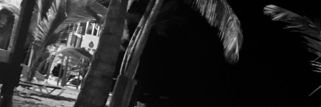 J E T L E Y S I E  banner