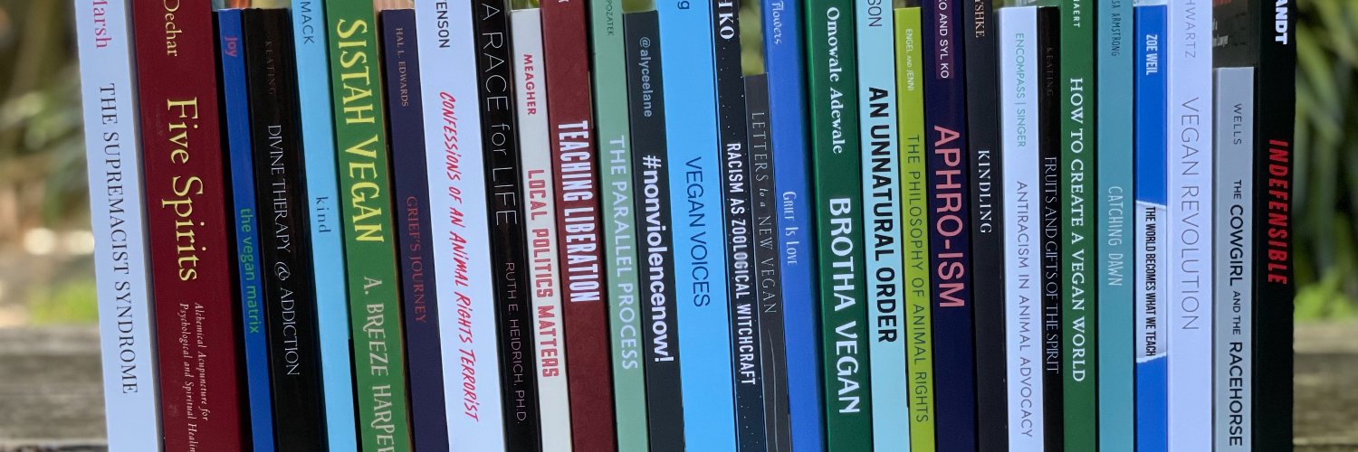 Lantern Publishing & Media banner