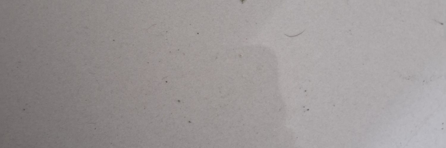 CarlitosWay_5's profile banner image