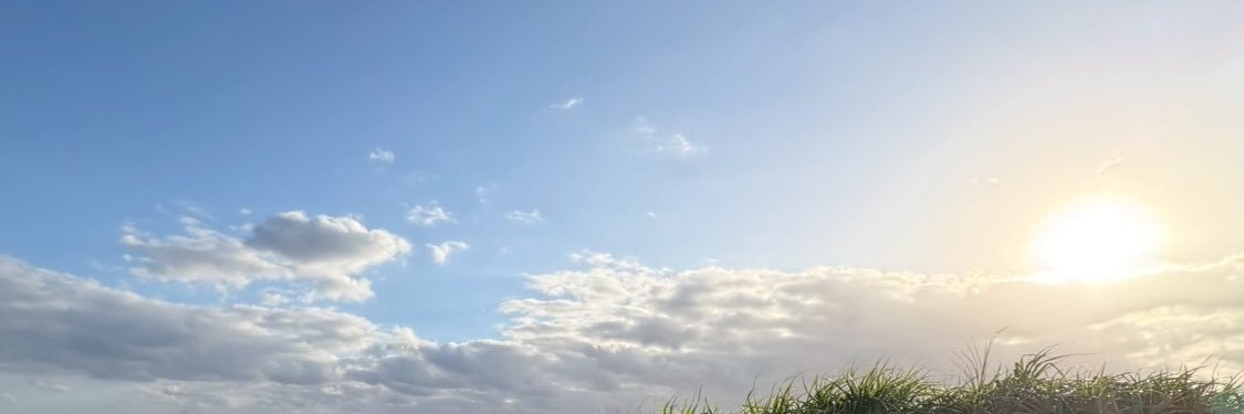 Kai Hiraiwa | 平岩樺生 banner