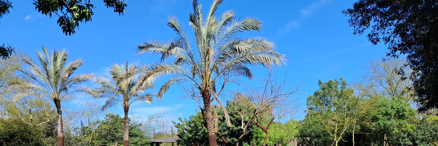 abdellebad's profile banner image