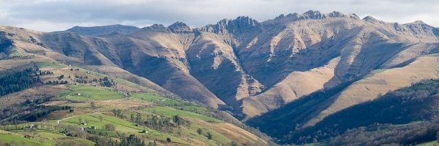 RamonGu32329053's profile banner image