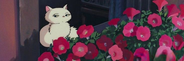_iNats's profile banner image