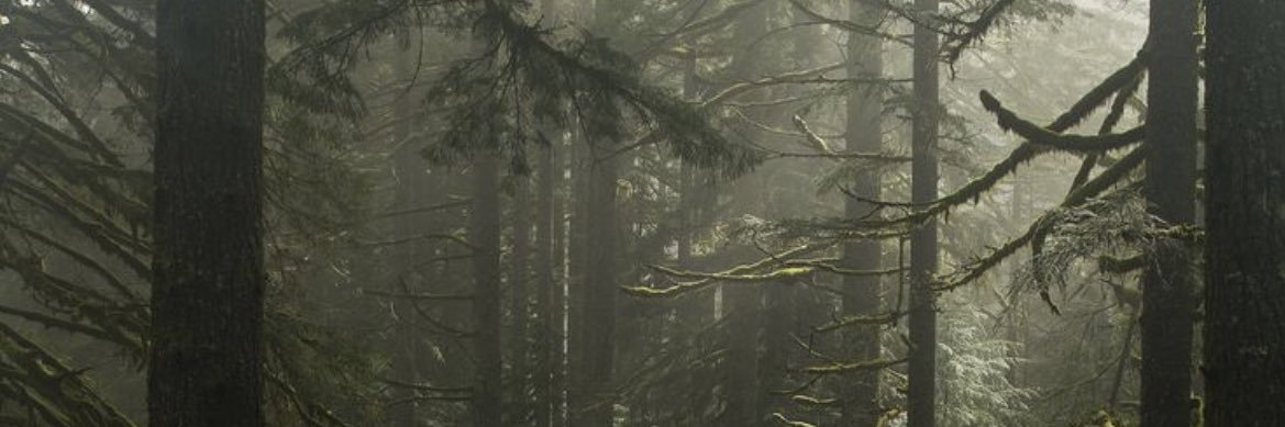 howdybrettv's profile banner image