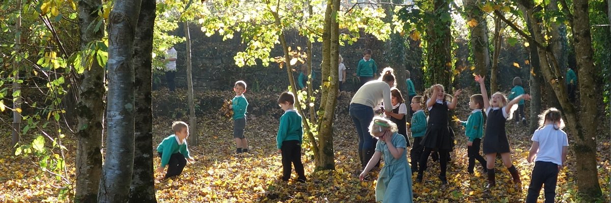 catherines_e's profile banner image