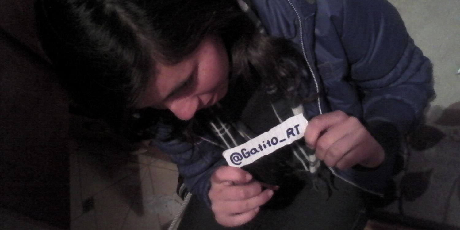 Gatito_RT's profile banner image