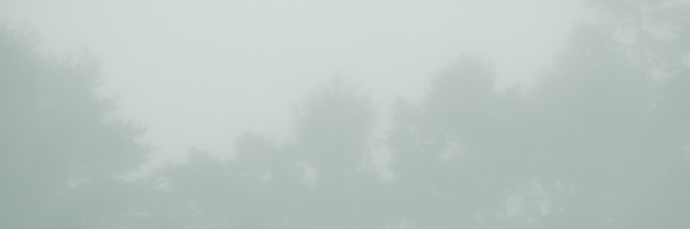 moriyuni's profile banner image