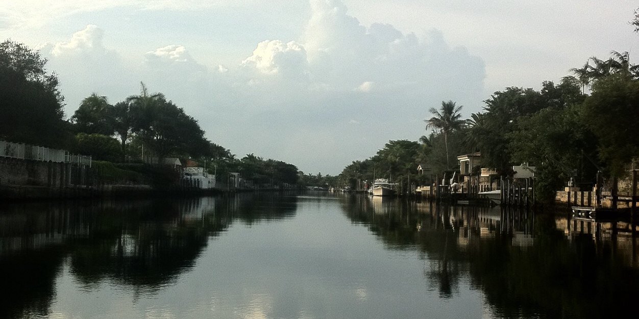 rocio ledesma banner