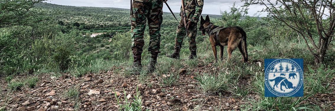 DogsScent's profile banner image