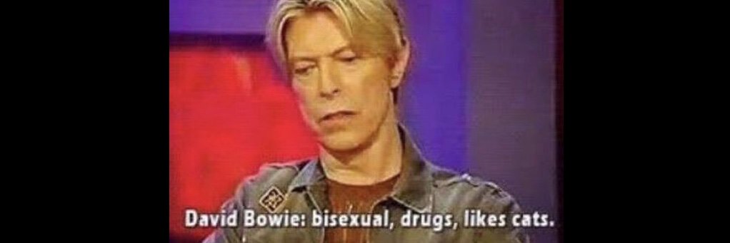 ericabjs's profile banner image
