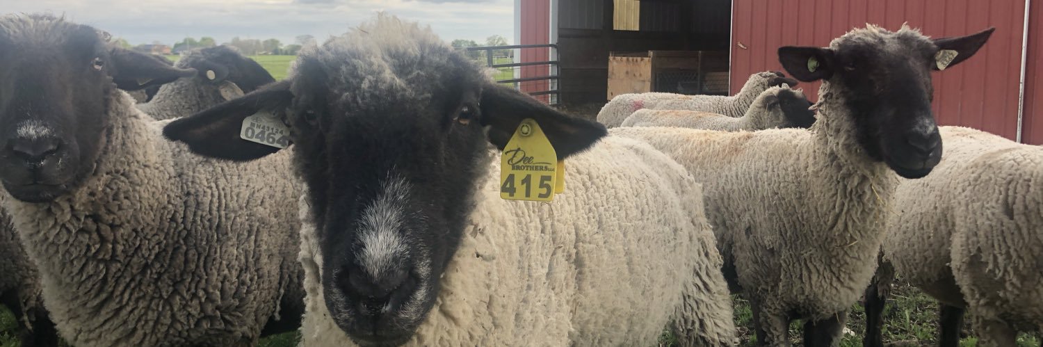 sam_lambs's profile banner image