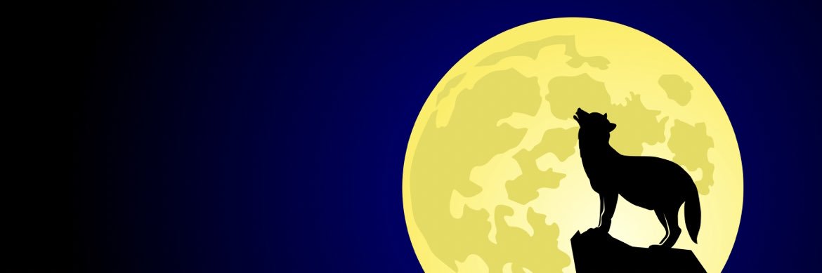 adalty_wolf's profile banner image