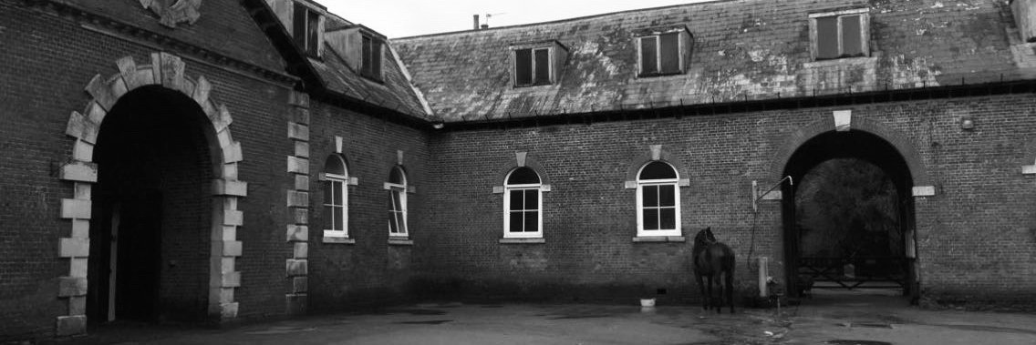 Bryanston Equestrian Centre banner