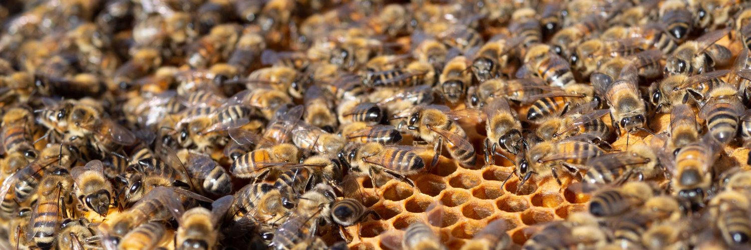 Michael Smith banner