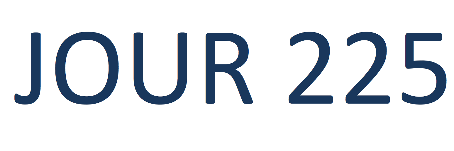 Amy Bonebright banner