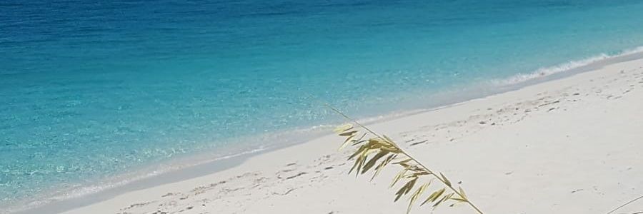 weechie242's profile banner image