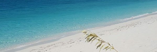 weechie242 Profile Banner