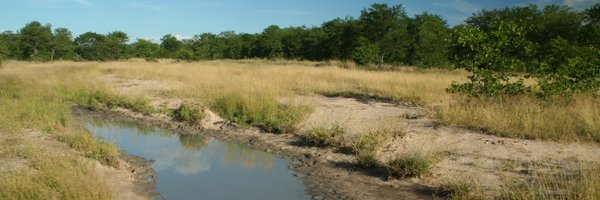 Fish_EcoEvo Profile Banner