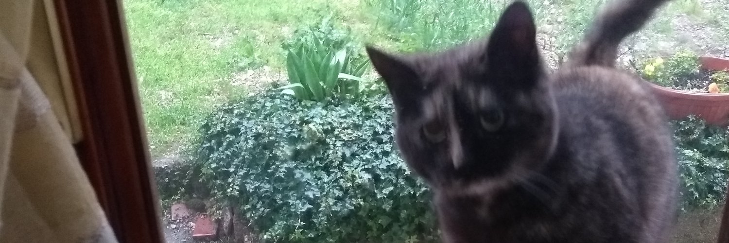 giuseppe di florio banner