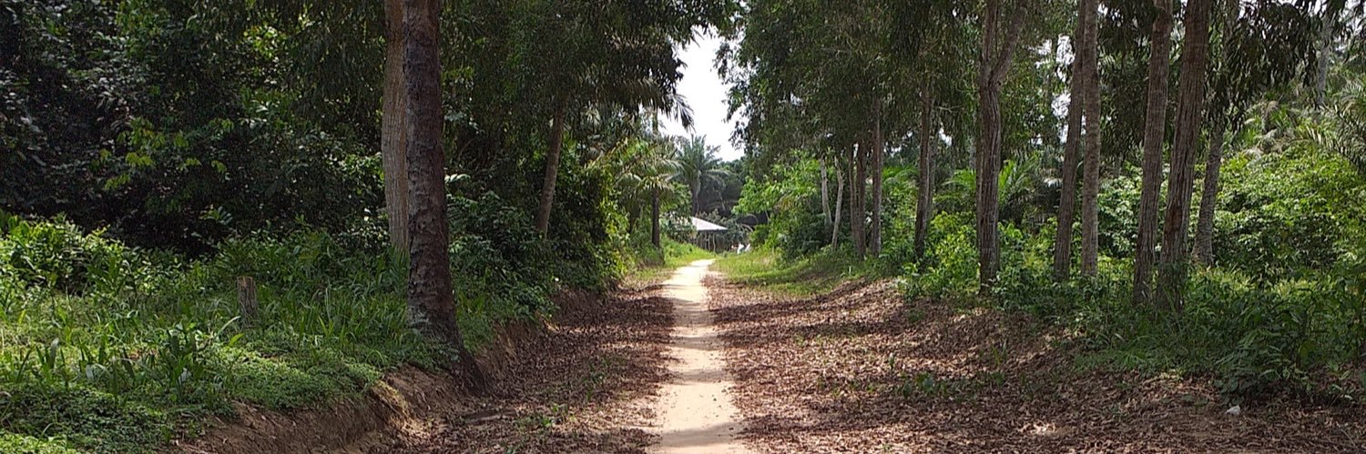 mgigonu's profile banner image
