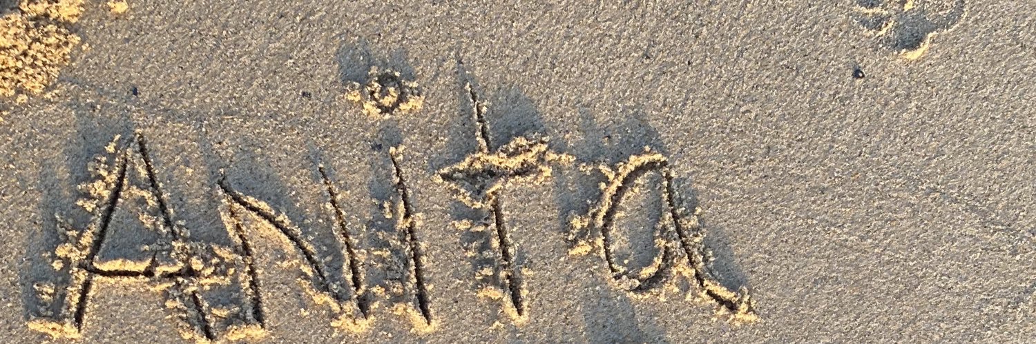Anita banner