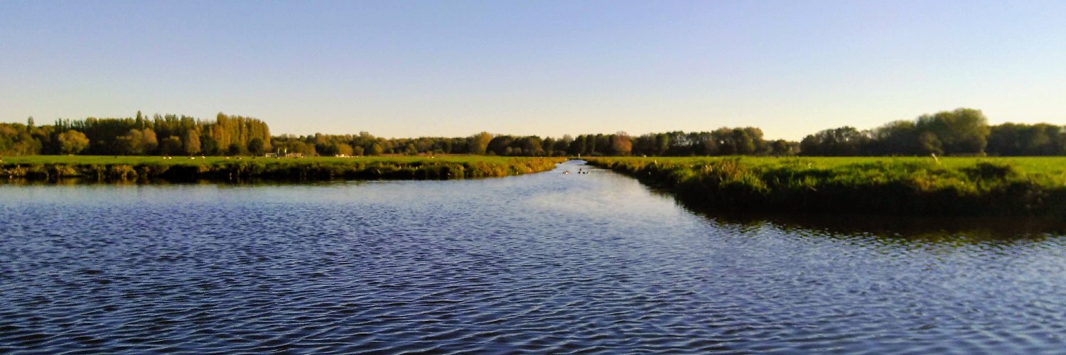Eline_Scheer's profile banner image