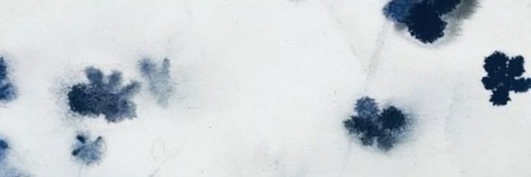 爱星 banner