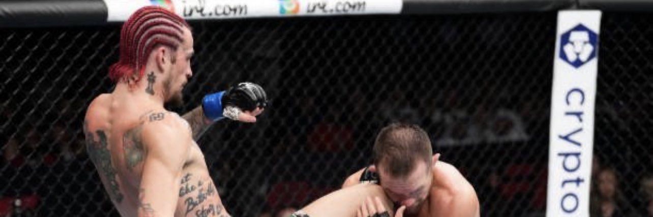 TheSugaBible🍀🥋 banner