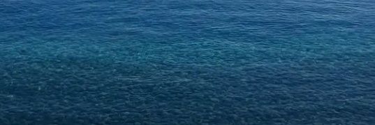 mar🌊 banner