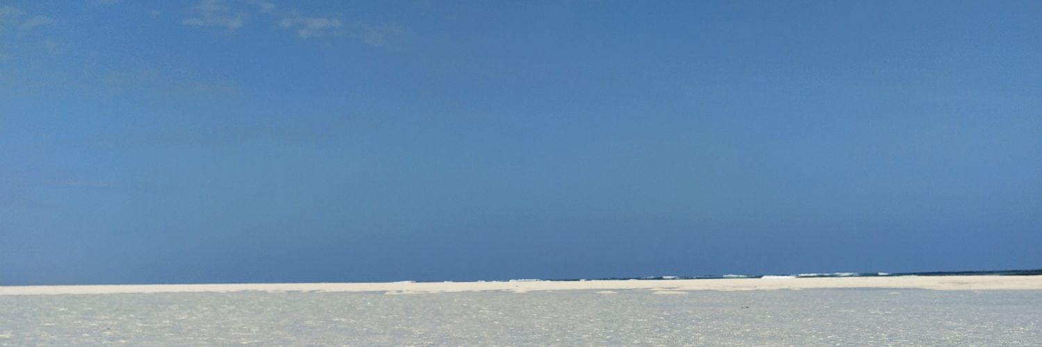 schrutteee's profile banner image