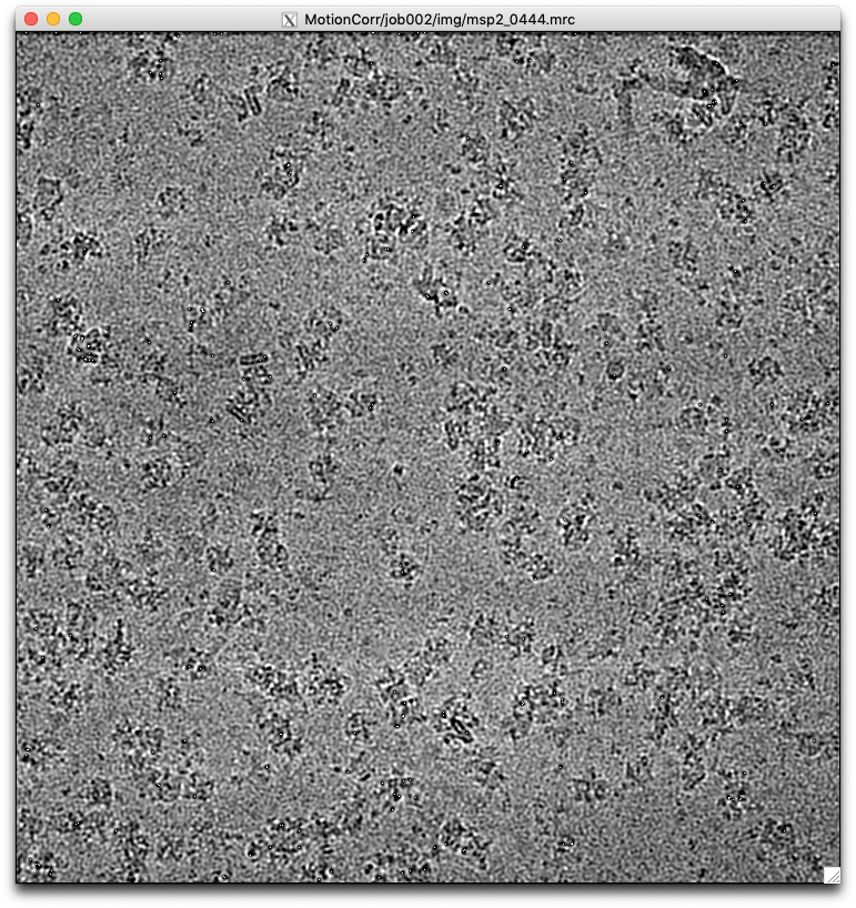 Butterwick Lab's banner