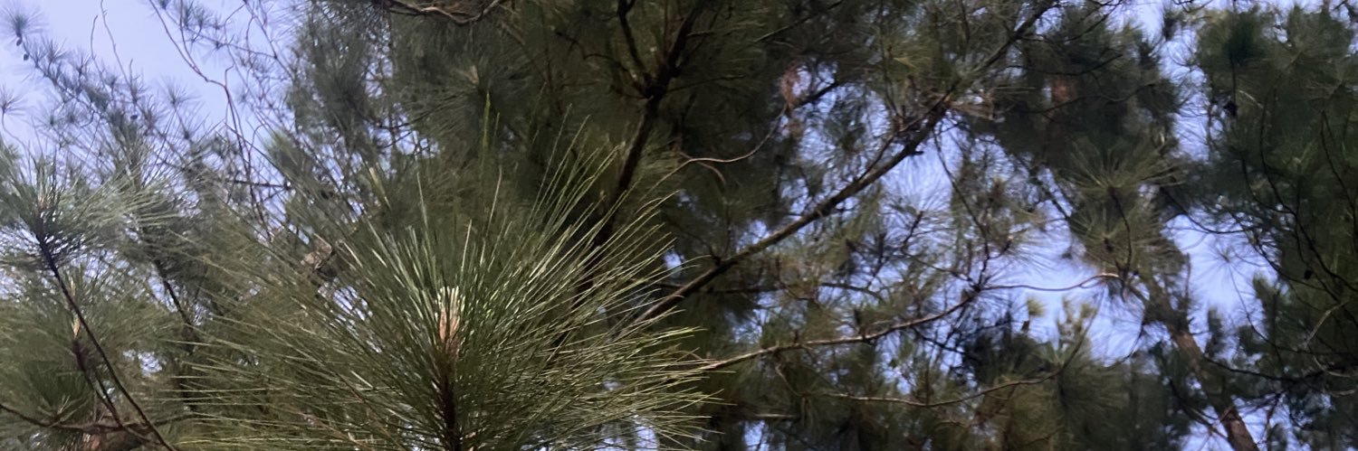 MelanieT43's profile banner image
