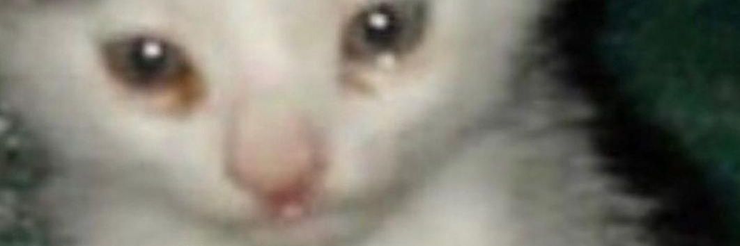 pythagtheory's profile banner image