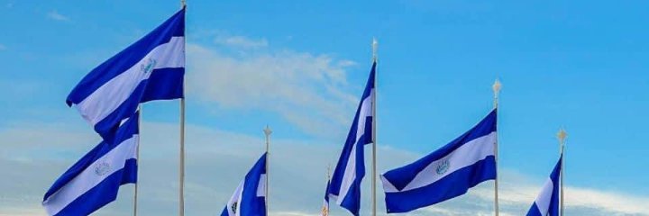 Reina Soros banner