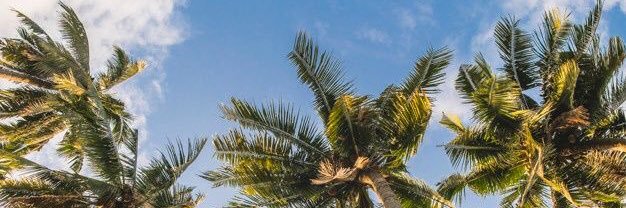 RULEETHEWORLD's profile banner image