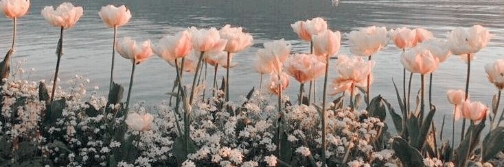 πьяный воробей banner