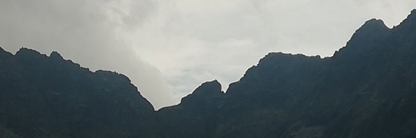 Firarafaa Profile Banner