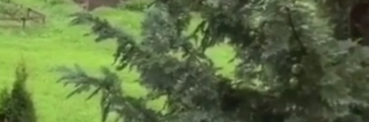 ksaj09's profile banner image
