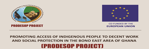 prodesop Profile Banner