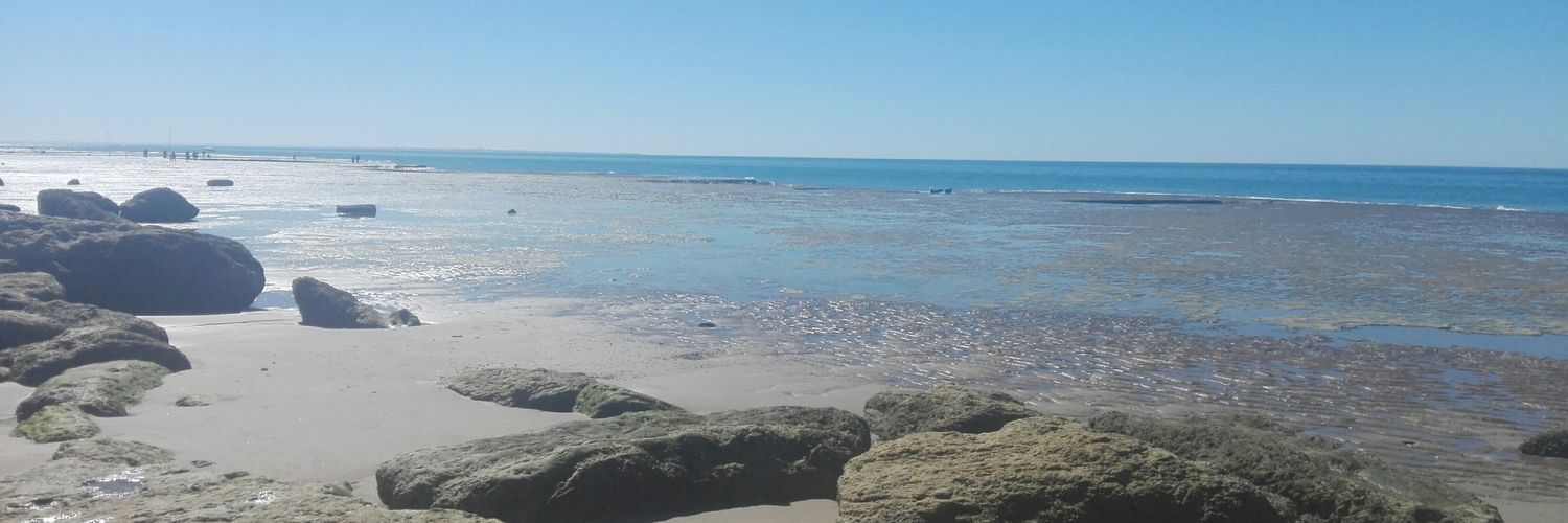 Anto Clemente banner