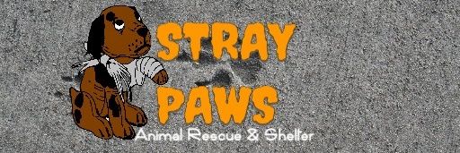 PawsStray's profile banner image