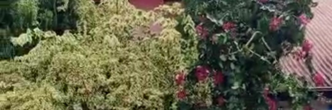 lakesyde💙🎅 banner
