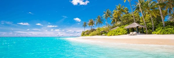 TmsAds's profile banner image