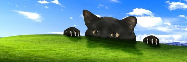 _K4THER1NE's profile banner image