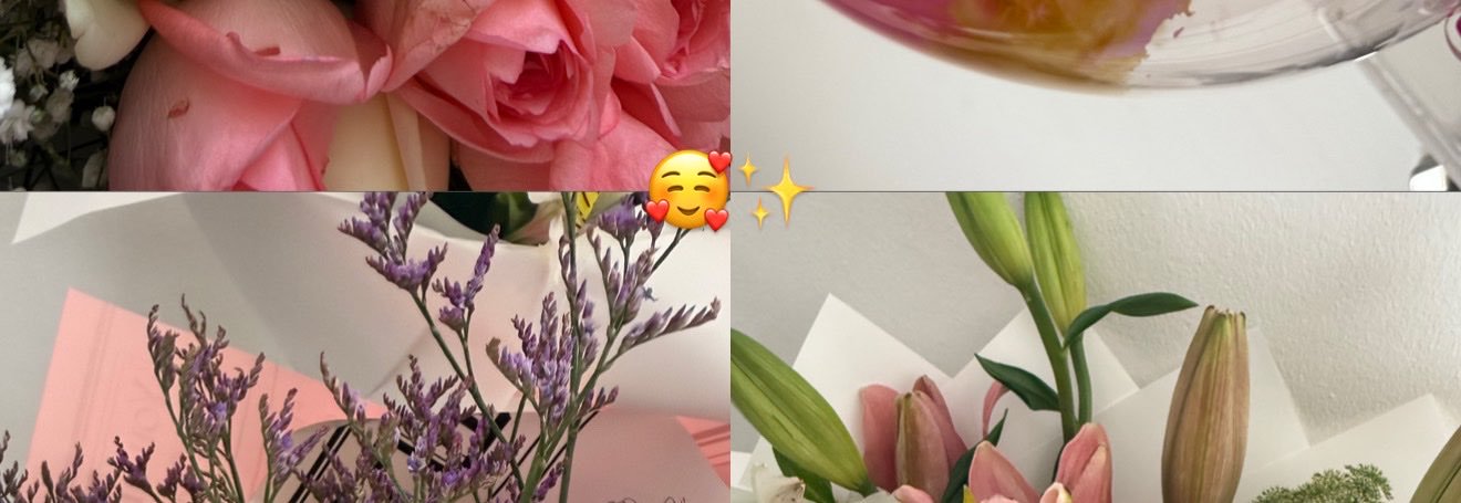 JulissaabigailO's profile banner image