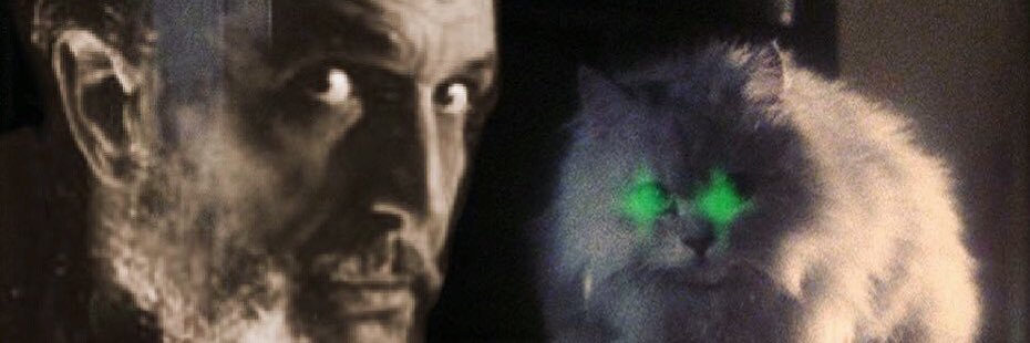 TWOPP banner